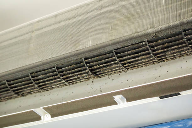 Best Professional Duct Cleaning Services  in Lake Station, IN